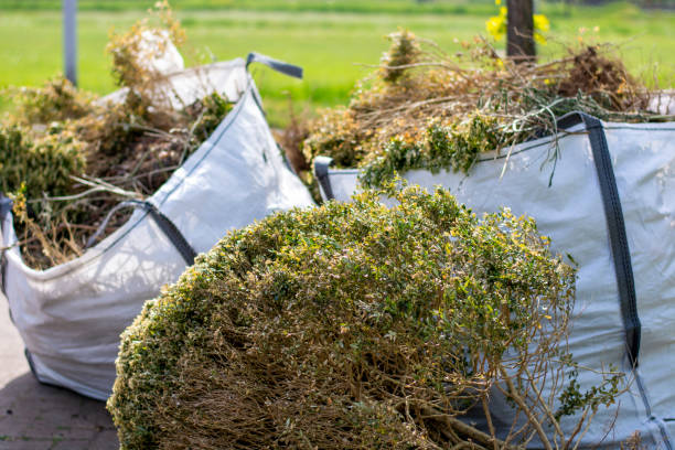 Best Yard Cleanup Services  in San Felipe Pueblo, NM